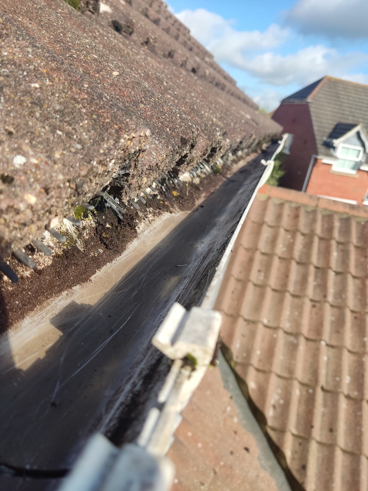 Clean residential gutter and roof edge
